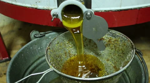 Beekeeper extracting honey with machine in home Video stock 54233724