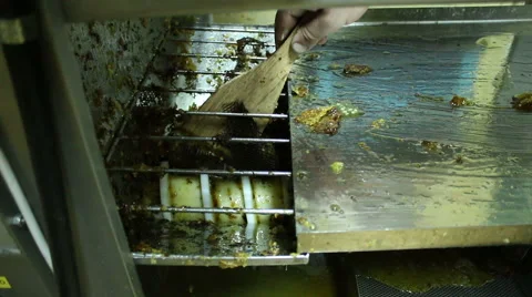 Beekeeper extracting honey with machine in home Stock-Footage 54235186