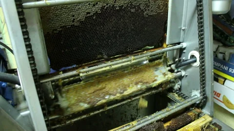 Beekeeper extracting honey with machine in home Video stock 54235967