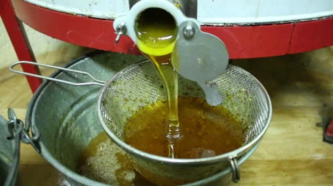 Beekeeper extracting honey with machine in home Video stock 54236433