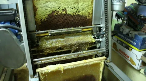 Beekeeper extracting honey with machine in home Stock Footage 54236833