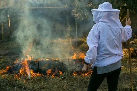 Beekeeper with fire to make smoke Stock Photos
