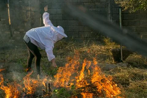 Beekeeper with fire to make smoke Stock Photos