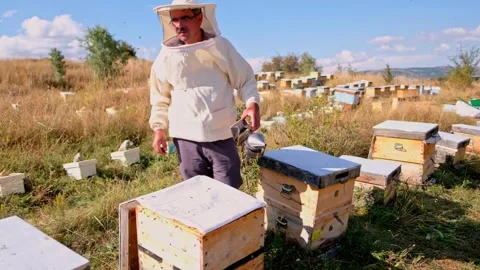Beekeeper Stock Footage 340649655