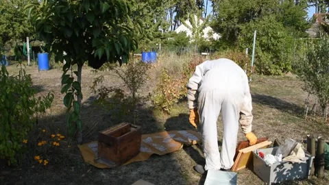 Beekeeper in the garden Stock Footage 139156837