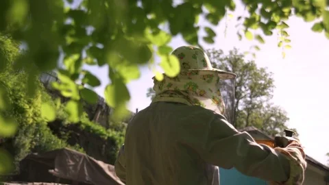 The beekeeper gently pulls out the honeycomb from the hive and looks at it Stock Footage 77124187