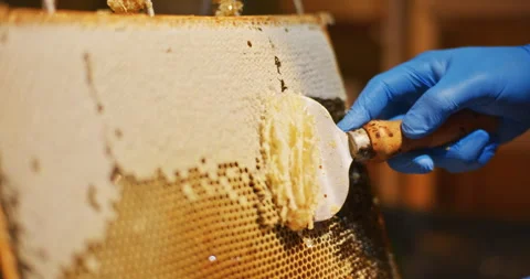 The Beekeeper Gently Removes Beeswax Stock Footage 275619034
