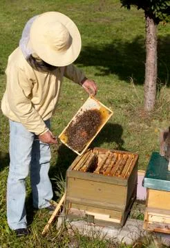 Beekeeper from germany Stock Photos