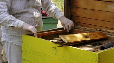 Beekeeper gets honeycomb from the hive Stock-Footage 68650365