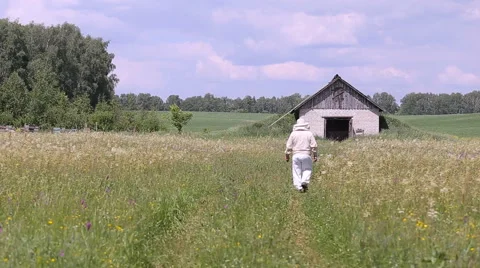 Beekeeper goes to winterer for bees Stock Footage 64534470