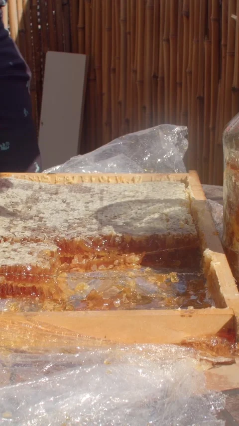 Beekeeper hand sampling capped honeycomb with flowing golden honey in warm light Stock Footage 344883691