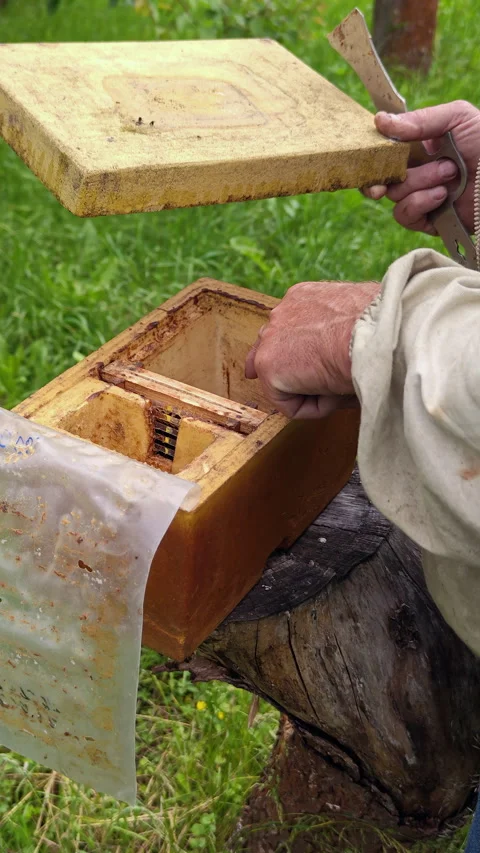 Beekeeper Hands Placing Lid on Wooden Beehive Box Video stock 337060432