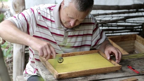Beekeeper hands with scraper cleaning and repairing bee hive frames after winter Video stock 94277741