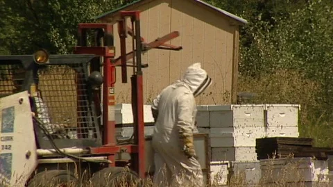 Beekeeper with Hive Boxes Stock Footage 93090761