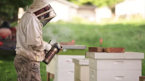 Beekeeper holding smoker Stock-Footage 287892995