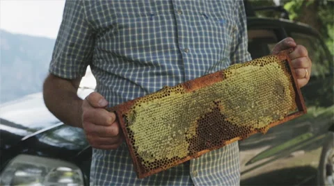 Beekeeper with a honeycomb in his hands 01 Stock Footage 54596692