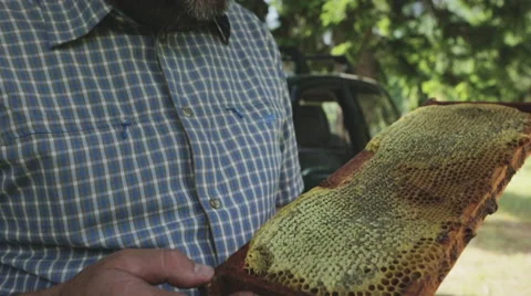 Beekeeper with a honeycomb in his hands 02 Stock Footage 54596785