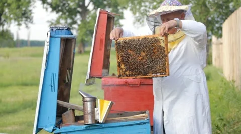 Beekeeper with honeycombs Stock Footage 11036200