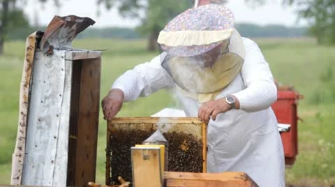 Beekeeper with honeycombs Stock-Footage 11036202