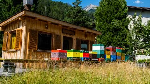 Beekeeper hut Stock Photos