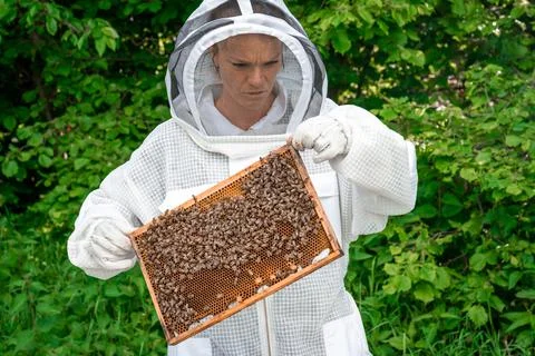 Beekeeper inspects bees in a protective suit Foto stock