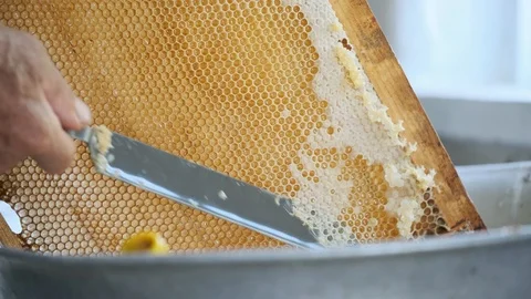 Beekeeper inspects honeycombs in a frame over the hive Stock Footage 121890440