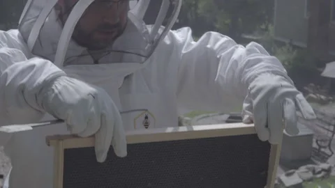 Beekeeper inspects the top panels of beehive Stock Footage 134210167