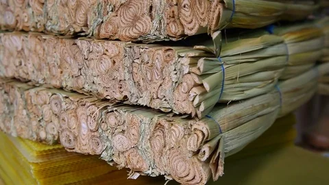 Beekeeper insulation hives with bees in winter. Video stock 84496707