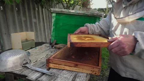The beekeeper lays out the wax frames Stock Footage 167325133