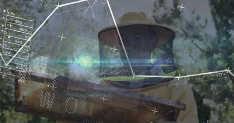 Beekeeper lifting hive frame toward lens, inspecting comb as animated charts Stock Photos