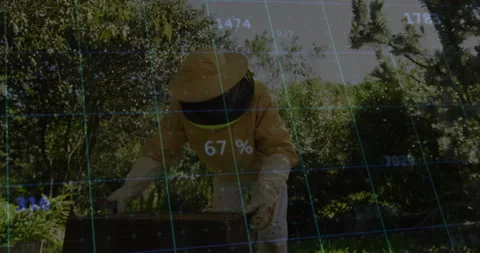 Beekeeper lifting hive lid, inspecting comb frames with tech AR overlay Stock Footage 311948771