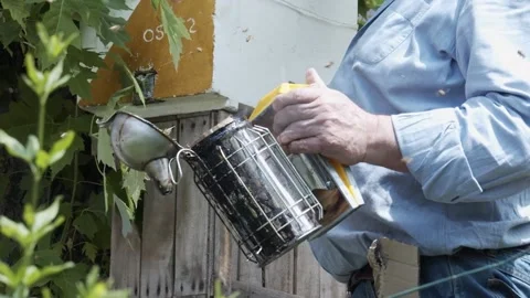 A beekeeper lights up an open bee hive smoker. 库存影片 155238745