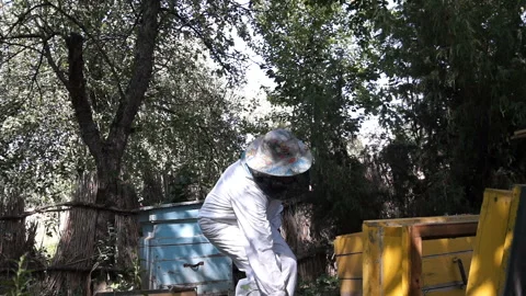 The beekeeper looks after the bees, the honeycomb, in the protective beekeeper's Stock Footage 133190809