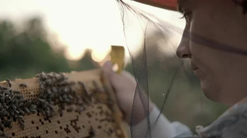 Beekeeper looks after honeycombs in a protective beekeeper's beast Vídeo Stock 117064524