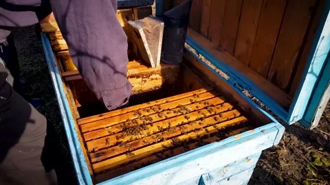 Beekeeper man using smoke and cleaning the interior of the beehive Stock Footage 204934753