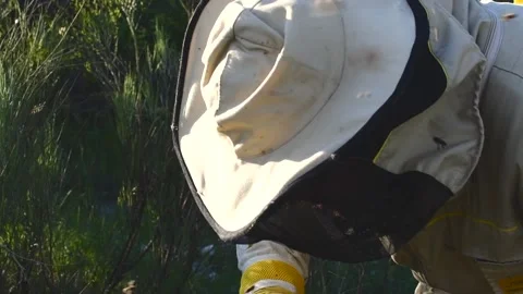 Beekeeper manipulating and inspecting honeycombs with many bees around him, w Stock Footage 132457338