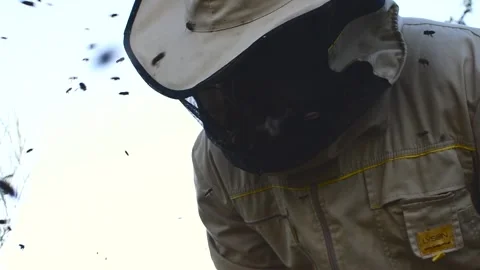 Beekeeper manipulating and inspecting honeycombs with many bees around him, w Stock Footage 132457389