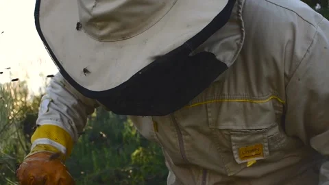 Beekeeper manipulating and inspecting honeycombs with many bees around him, w Stock Footage 132457426