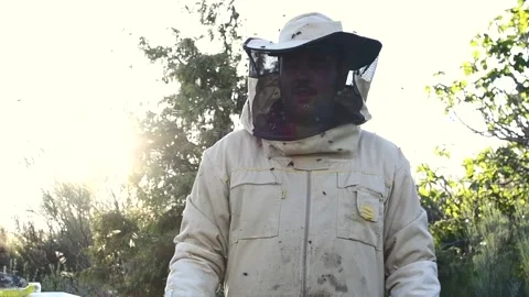 Beekeeper manipulating and inspecting honeycombs with many bees around him, w Stock Footage 132457428
