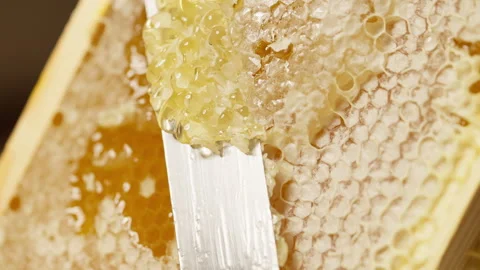 Beekeeper manually cutting sealed honeycomb with knife from frame. Honey Stock Footage 340025162