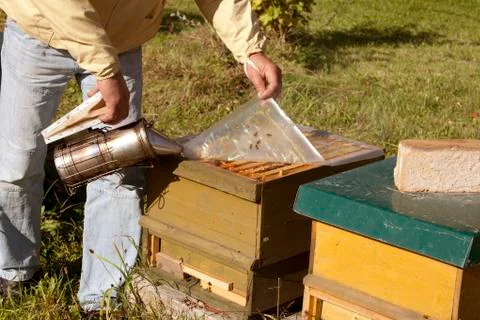 Beekeeper with open hive Stock Photos