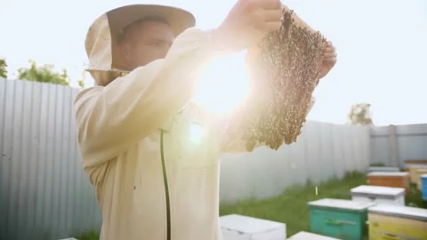 BEEKEEPER OPENING A BEEKEEPING PANEL Stock Footage 156843777