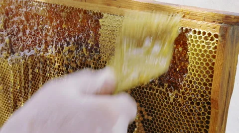 Beekeeper opening honeycombs with bee knife close up. new harvest Stock-Footage 68657175