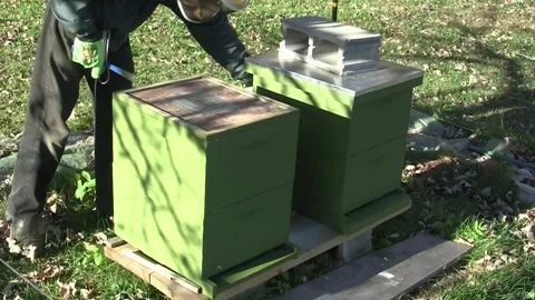 Beekeeper opens bee hive and shows bee fram to camera Stock Footage 267088162