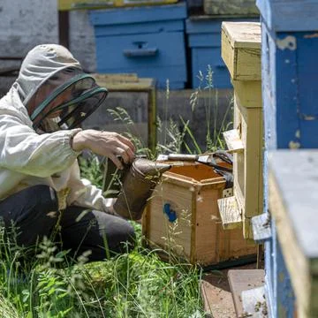 The beekeeper performs work in the apiary. Beekeeping concept. The beekeeper  Stock Photos
