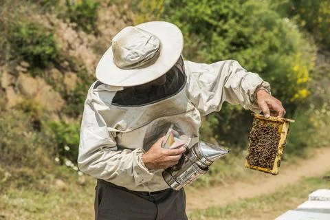 Beekeeper Stock Photos