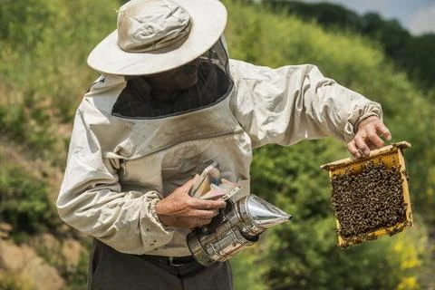 Beekeeper Stock Photos