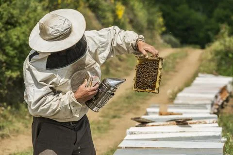 Beekeeper Stock Photos