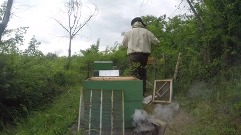 Beekeeper preparing to harvest honey Stock Footage 148290983