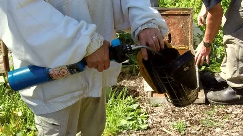 Beekeeper preparing a smoker close up on a bee hive apiary 4K Stock Footage 132181188